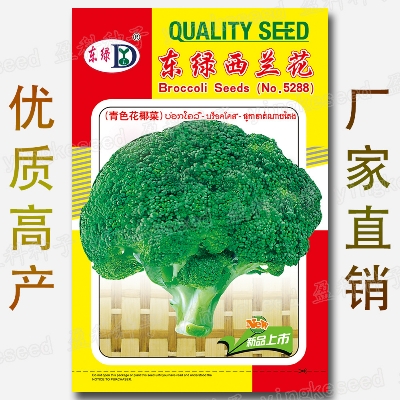 Picture of F1 Hybrid Broccoli Seeds for gardening 20+ seed