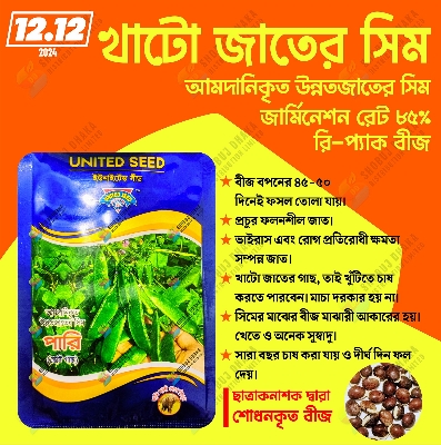 Picture of 【12.12 Deal】Khato jater Shim Seeds Imported (United Seeds) 5 pcs