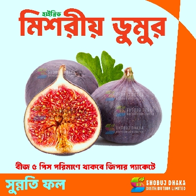 Picture of Premium Egyptian Fig Seeds 15 pcs