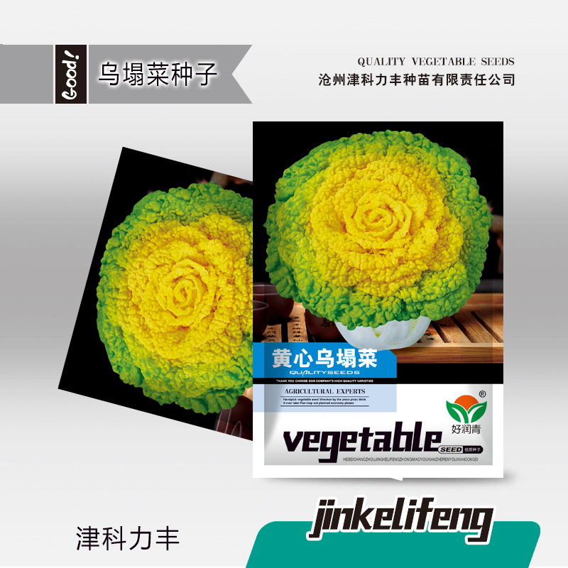 Picture of Yellow Cabbage Seeds Imported 10 pcs Seeds Re-Pack