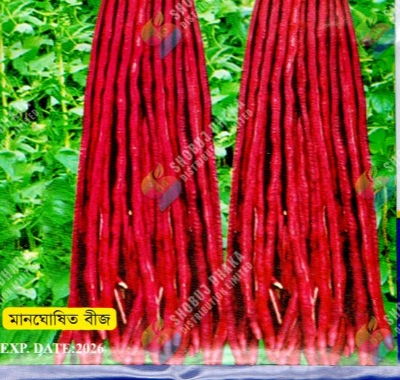 Picture of Red Bean (Lal Borboti Seeds) 0.1gm
