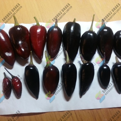 Picture of F1 HYBRID BLACK BULLET CHILI SEEDS 0.1gm Pack