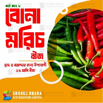 Picture of IR 8 Bona Chili Seeds 1gm Pack