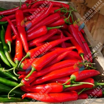 Picture of IR 8 Bona Chili Seeds 1gm Pack