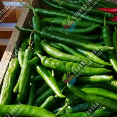 Picture of IR 8 Bona Chili Seeds 1gm Pack