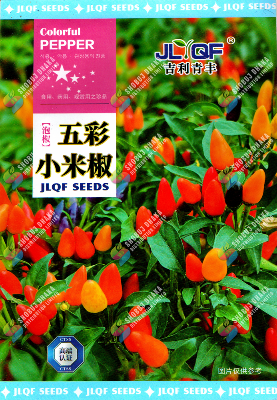 Picture of Ornamental Chili Seeds 0.5gm Intact Pack