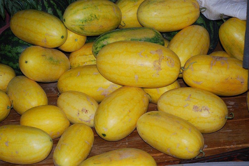 Picture of Taiwan F1 Hybrid Yellow Water Melon Seeds 0.5gm Intact Pack