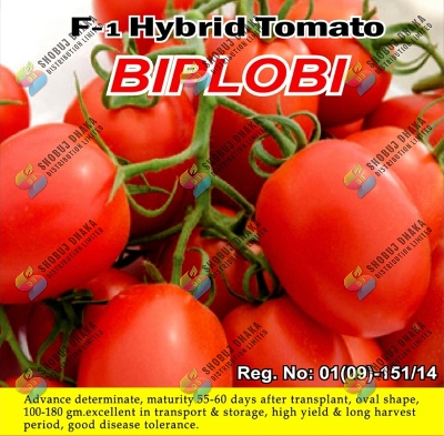 Picture of F1 Hybrid Biplobi Tomato 0.5gm Intact Pack Thailand