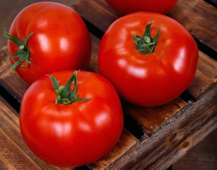 Picture of F1 Hybrid Biplobi Tomato 0.5gm Intact Pack Thailand