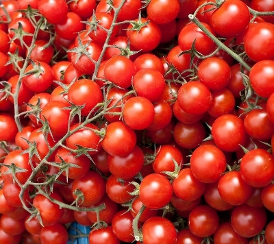 Picture of RED Cherry Tomato Seeds 5pcs Re-Pack (Thailand)