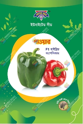 Picture of United Seeds Red & Green Hybrid Capsicum 6pcs Seeds Re-Pack
