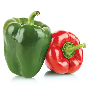 Picture of United Seeds Red & Green Hybrid Capsicum 6pcs Seeds Re-Pack