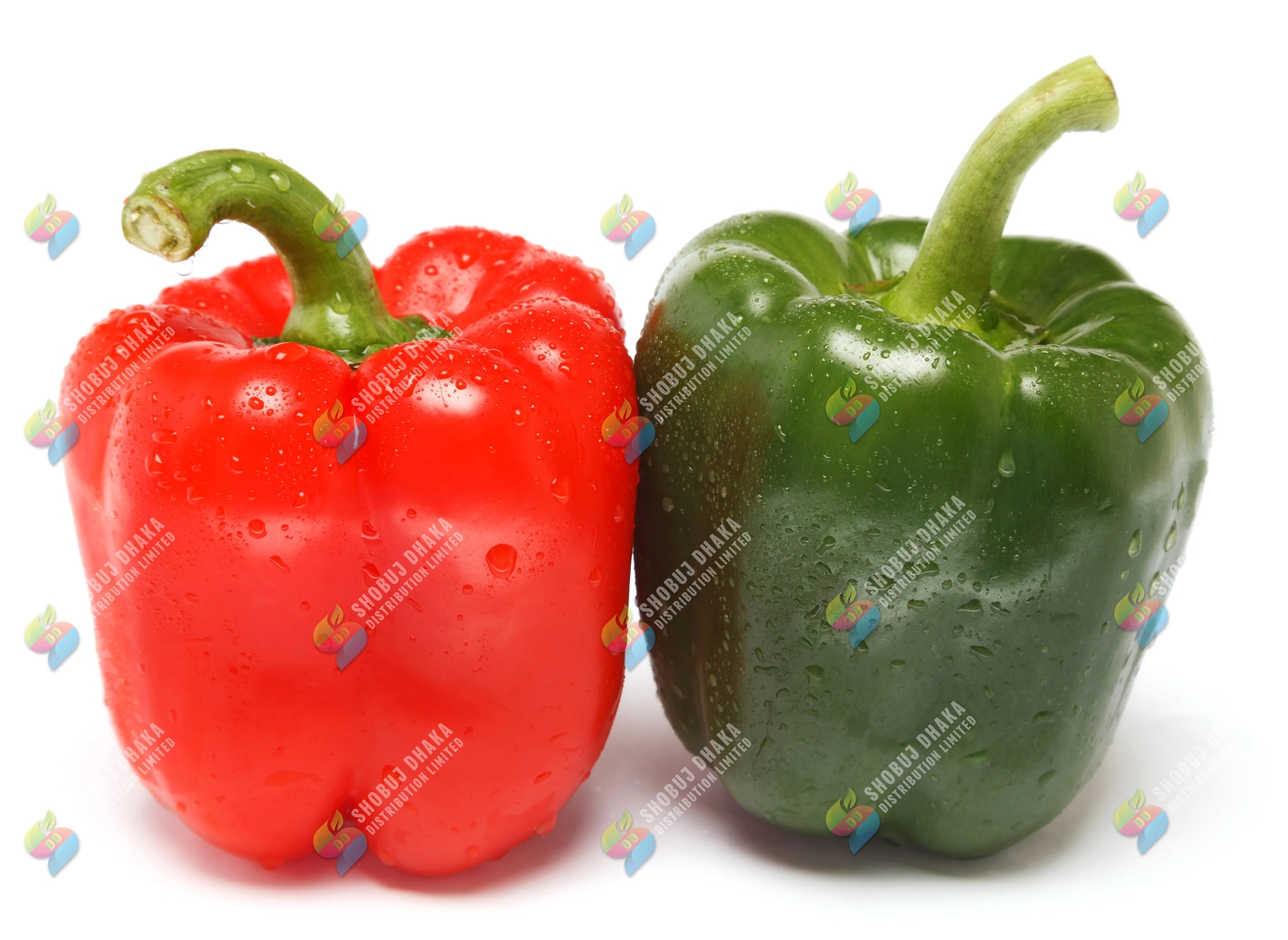 Picture of United Seeds Red & Green Hybrid Capsicum 6pcs Seeds Re-Pack