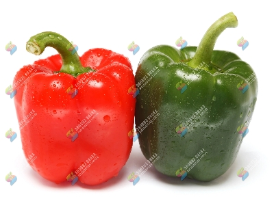 Picture of United Seeds Red & Green Hybrid Capsicum 6pcs Seeds Re-Pack