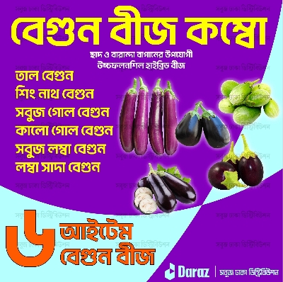 Picture of 【9.9 Deal】 Top Selling 6 Type Brinjal Seed Combo Pack - Total 100+ Seeds