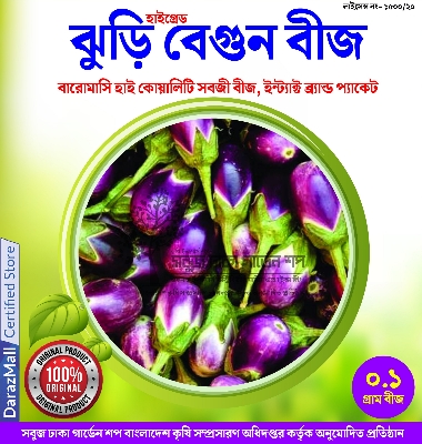 Picture of 【9.9 Deal】 Top Selling 6 Type Brinjal Seed Combo Pack - Total 100+ Seeds
