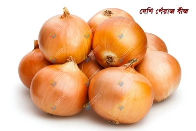 Picture of Deshi Onion Seeds Taherpuri