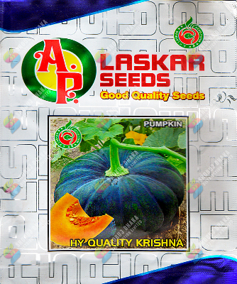 Picture of Imported BLACK PUMPKIN SEEDS 10gm Brand Pack For Gardening