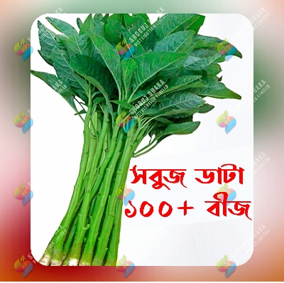 Picture of Hybrid Green or Lal Data Shak Seeds 100+