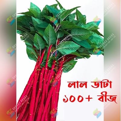 Picture of Hybrid Green or Lal Data Shak Seeds 100+