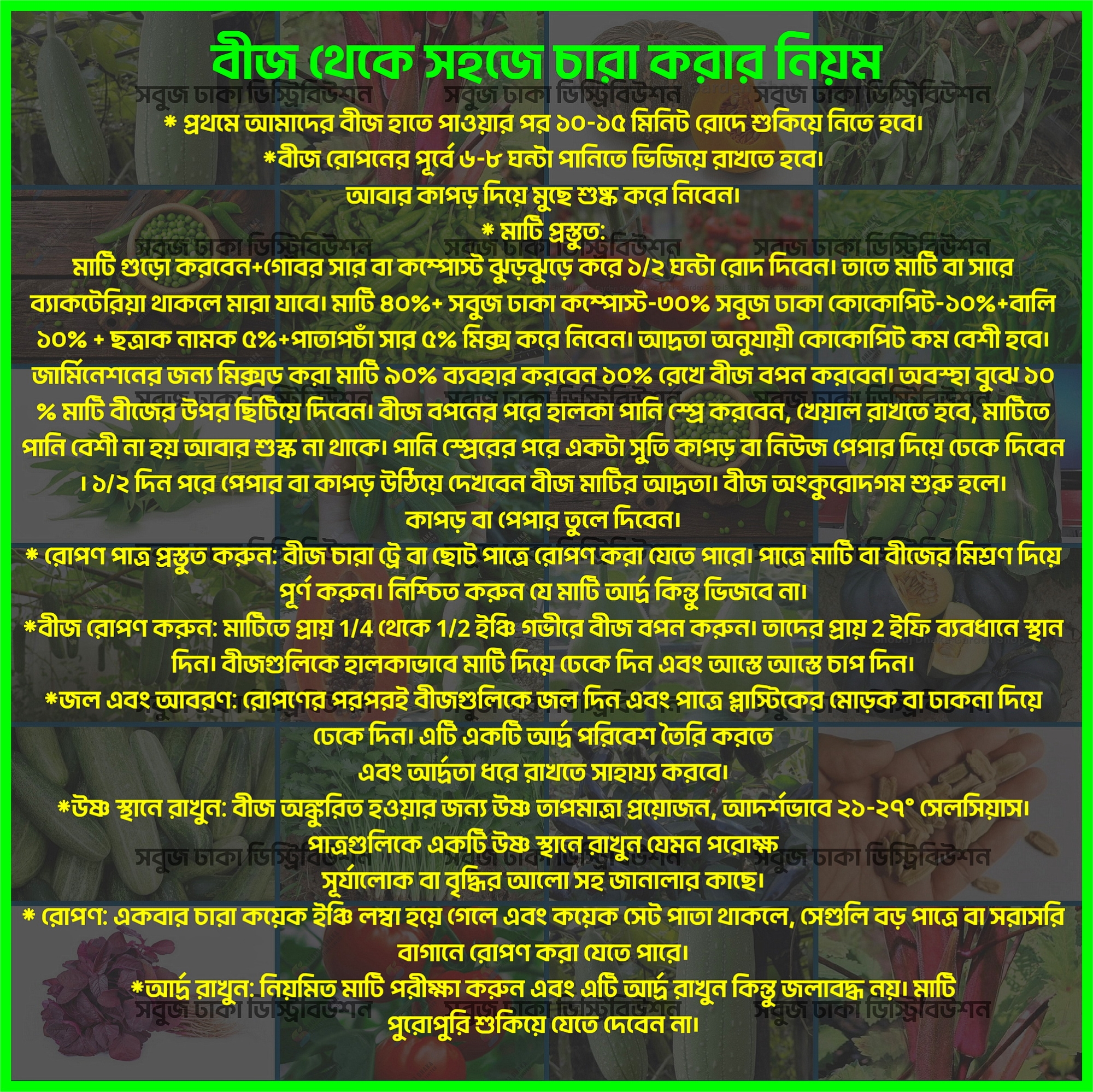 Picture of Hybrid Green or Lal Data Shak Seeds 100+