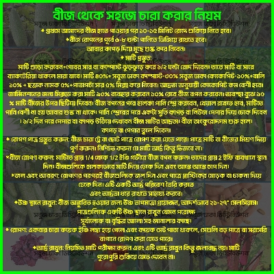 Picture of Hybrid Green or Lal Data Shak Seeds 100+