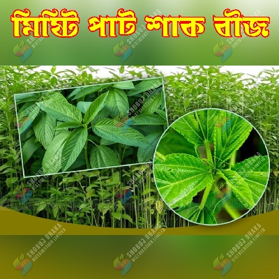Picture of Misti Pat Shak Seeds 2gm Re-Pack