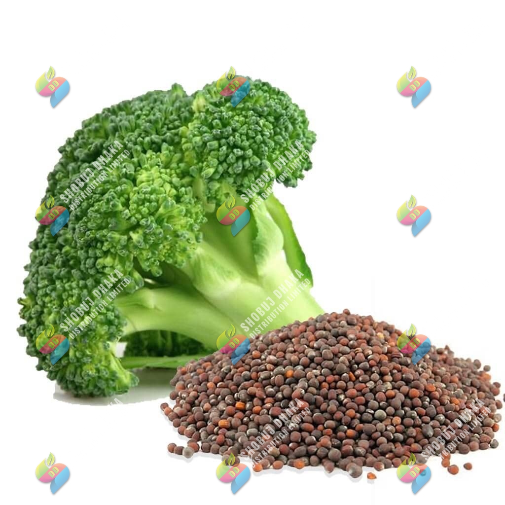Picture of HYBRID F1 Broccoli Seeds 10pcs Re-Pack (JAPAN)