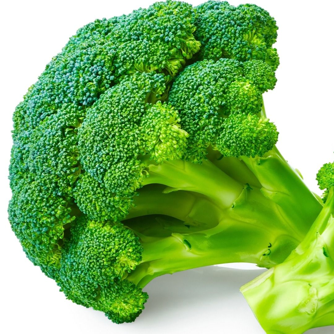 Picture of HYBRID F1 Broccoli Seeds 10pcs Re-Pack (JAPAN)