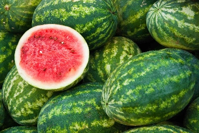Picture of Watermelon Seed F1 Hybrid All Season - 5 pcs pack seed