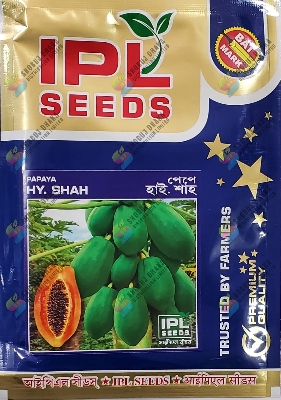 Picture of Hy. Shah Papaya Seeds 10gm Intact Pack
