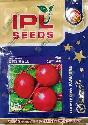 Picture of HY. Beet Root Seeds 10gm Intact Pack