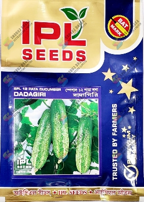 Picture of Indian Special 12 Pata Sosha 10gm Intact Pack