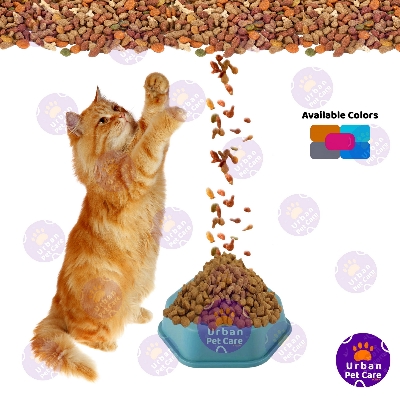 Picture of Premium Quality Cat Food Bowl Single, Blue, Pink, feeding dog, cat, kitten 1pc