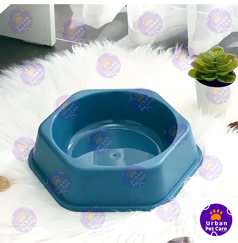 Picture of Premium Quality Cat Food Bowl Single, Blue, Pink, feeding dog, cat, kitten 1pc