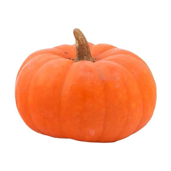Picture of All Season Super Card RED Pumpkin Seeds