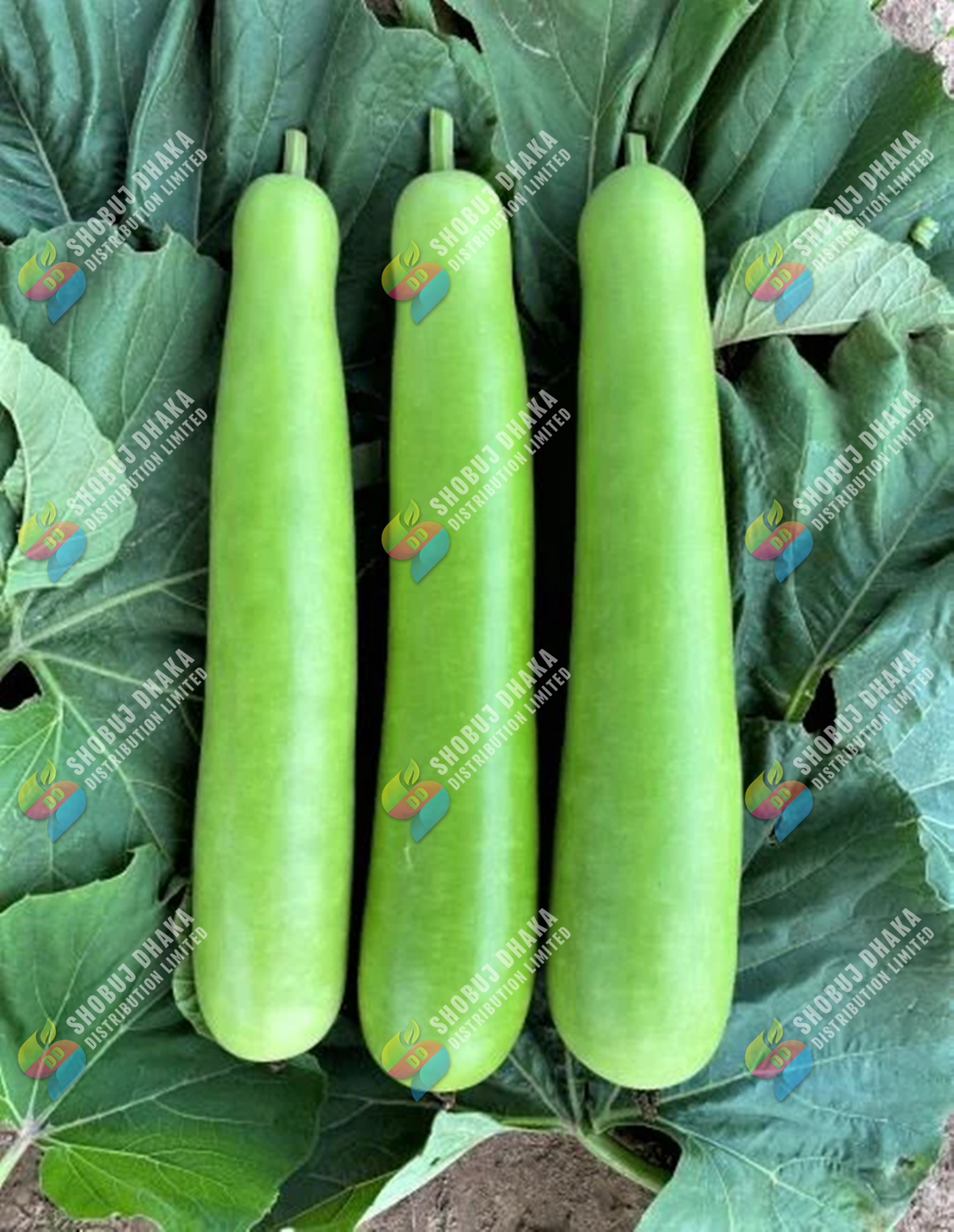 Picture of BARI-1 Hajari lau 0.1gm Intact Pack