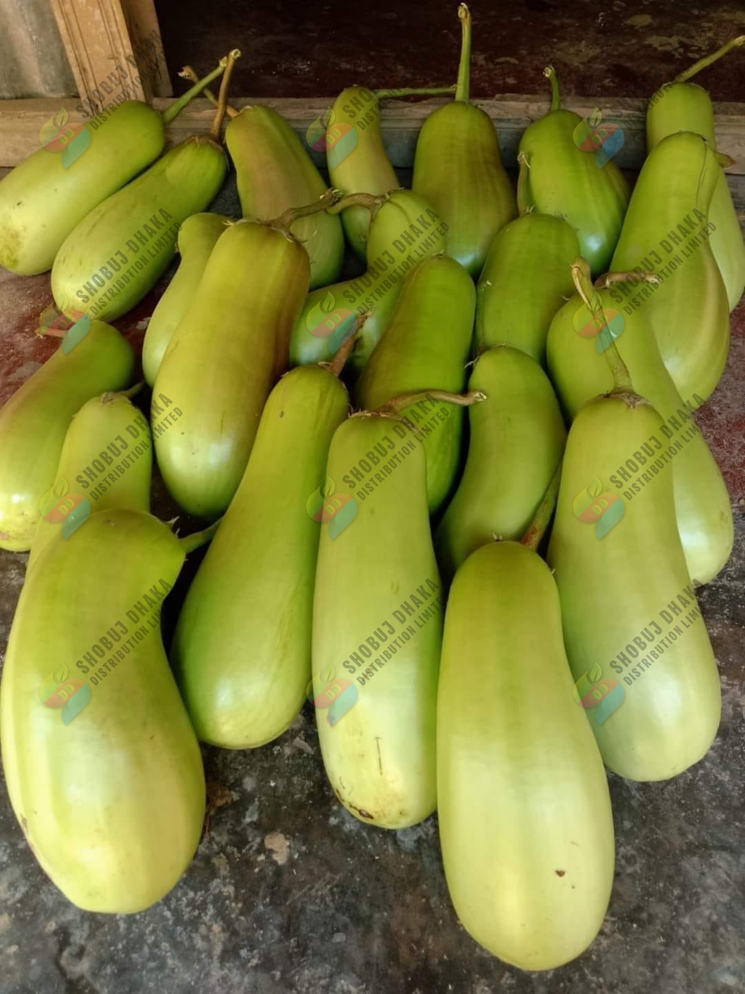 Picture of Hybrid Quality BARI-12 KG Begun Seeds (Eggplant Seeds) 15pcs