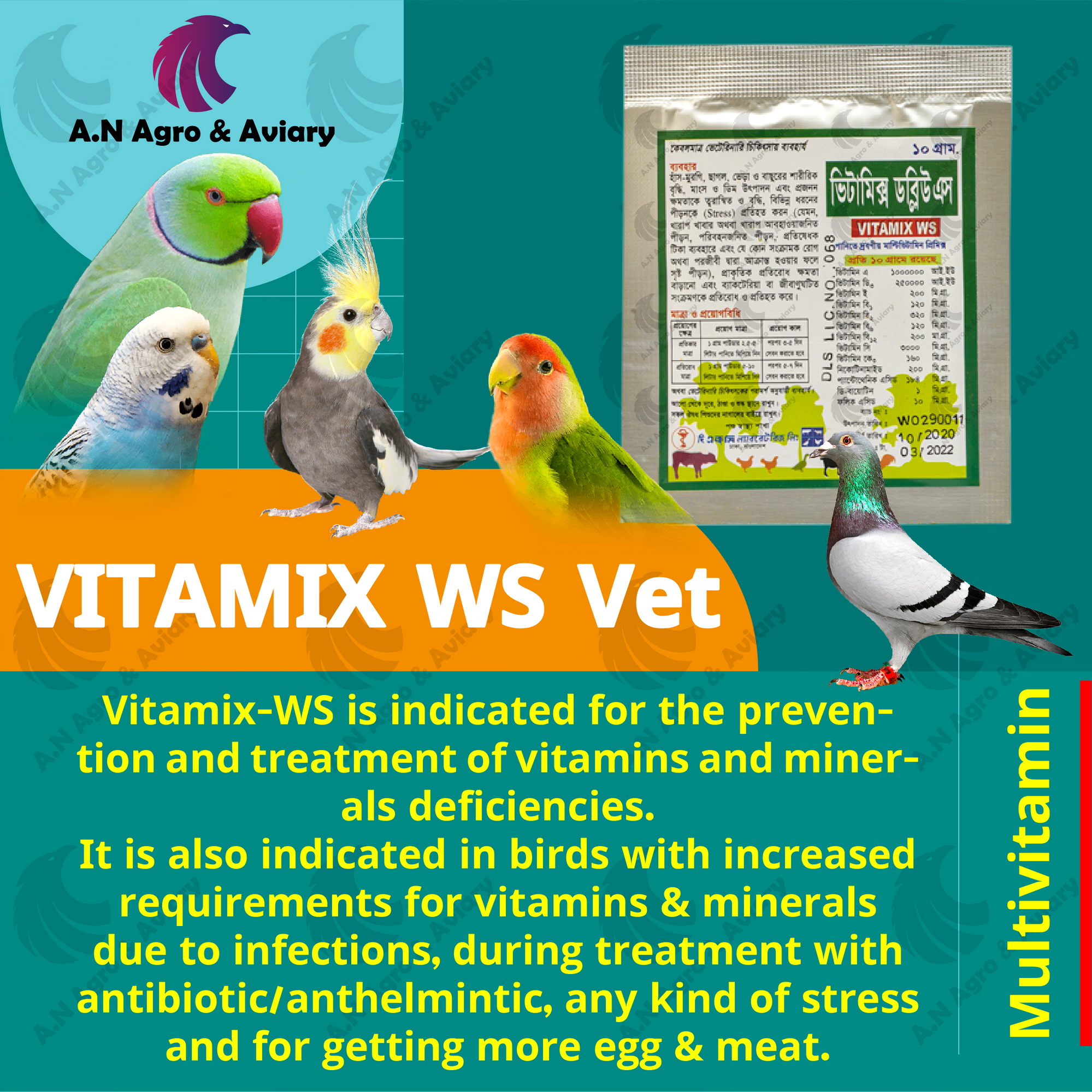 Picture of VITAMIX WS Vet 10gm Pack For Any Bird, Pigeon Multivitamin VITAMIN & MINERAL
