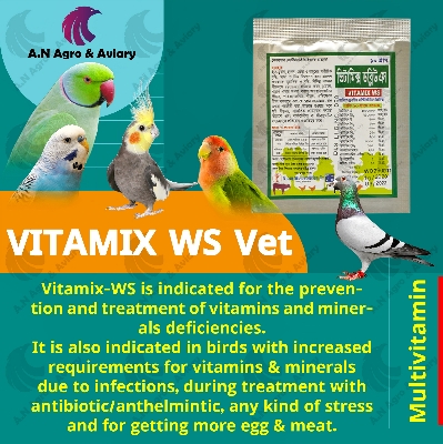 Picture of VITAMIX WS Vet 10gm Pack For Any Bird, Pigeon Multivitamin VITAMIN & MINERAL