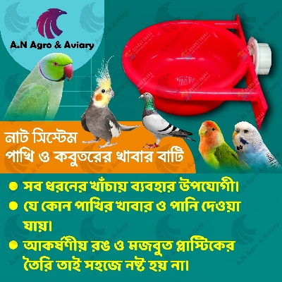 Picture of Premium Water pot / Food Pot For Bird (Round Shape)-1pcs Bird & Pigeons