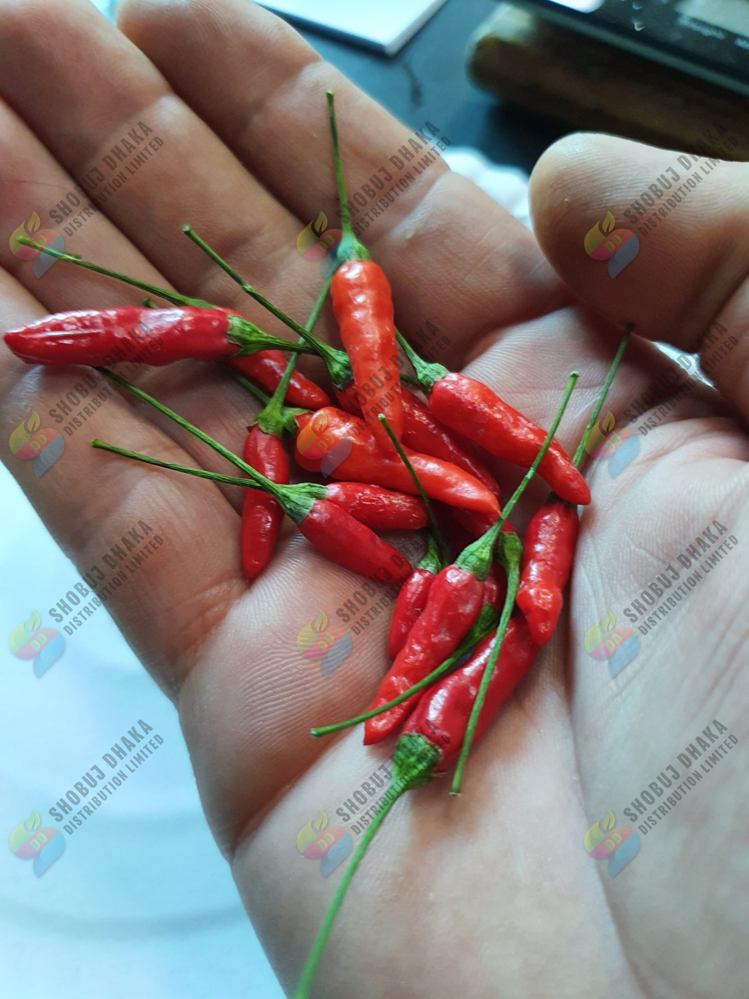 Picture of Exclusive Super Hot Bird's Eye Chili Seeds 0.1gm Re-pack