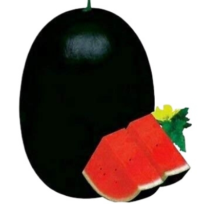 Picture of Hybrid Black Water Melon Seeds 5pcs