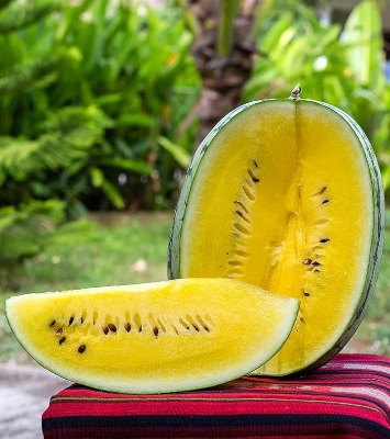 Picture of Hybrid Yellow Water Melon Seeds 5pcs