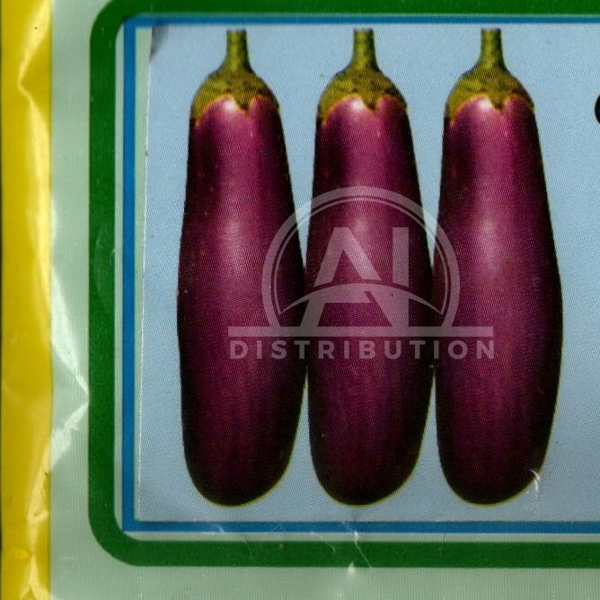Picture of Long Brinjal Seeds 0.1gm Re-Pack