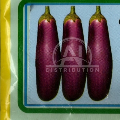 Picture of Long Brinjal Seeds 0.1gm Re-Pack