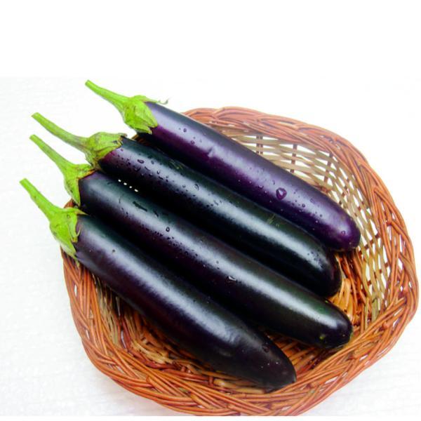 Picture of Long Brinjal Seeds 0.1gm Re-Pack