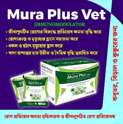 Picture of Mura Plus Vet (Enhances immunity against bacteria & viral diseases) 10gm