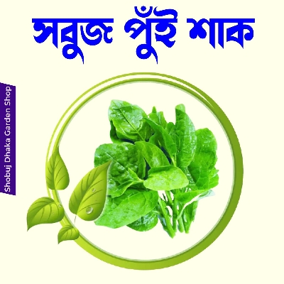 Picture of Hybrid Shobuj Pui Shak Seeds 0.1gm