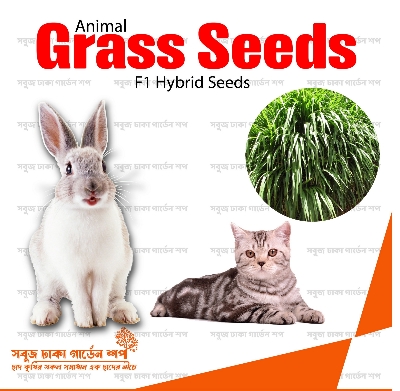 Picture of Grass Seeds for Cat & Rabbit 1gm Re-Pack